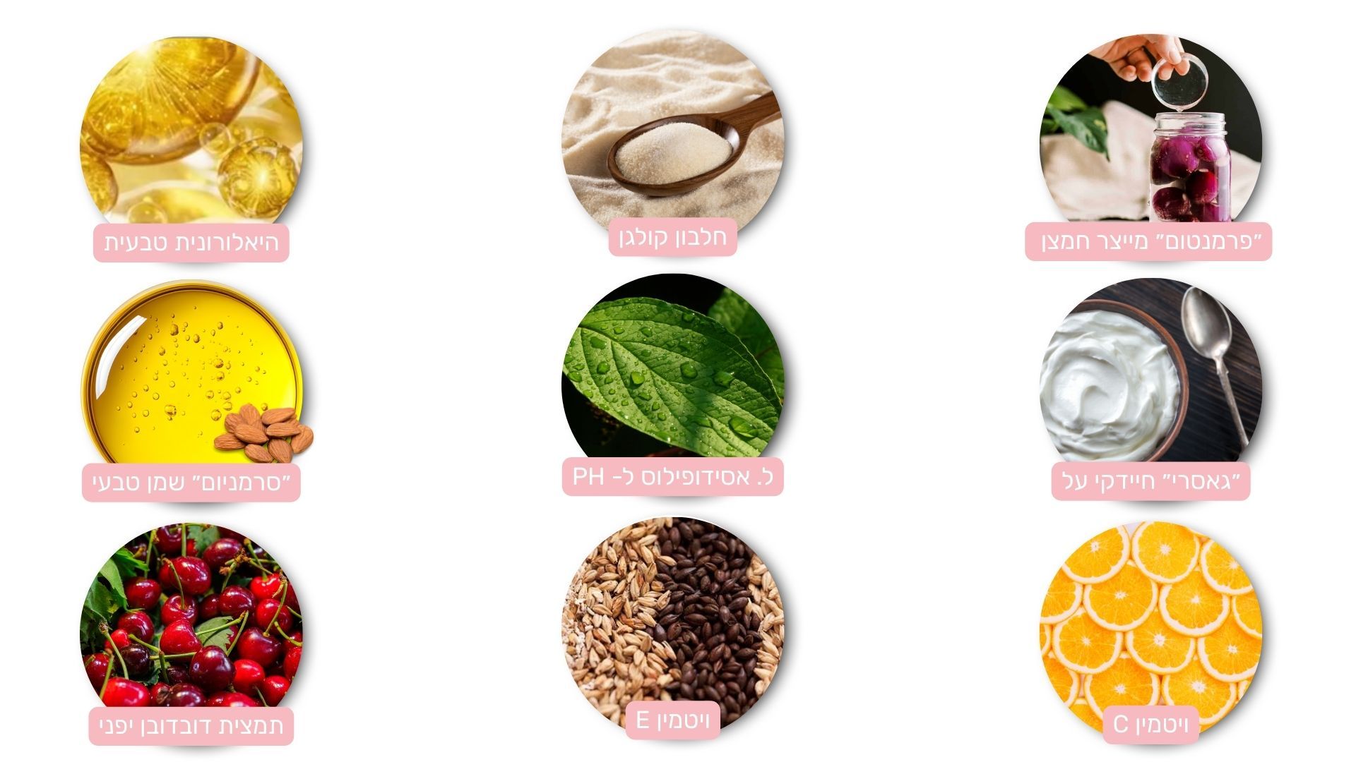 9f9816da-85b0-4d78-af58-44bf0b674025.עיצוב ללא שם